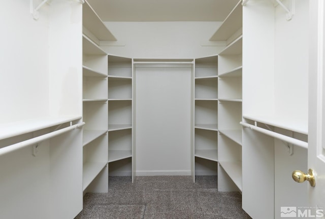 1580 Golden Park Way, Fallon, NV 89406 - walk in closet featuring carpet flooring