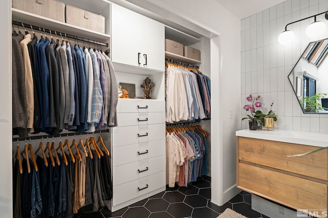 view of closet