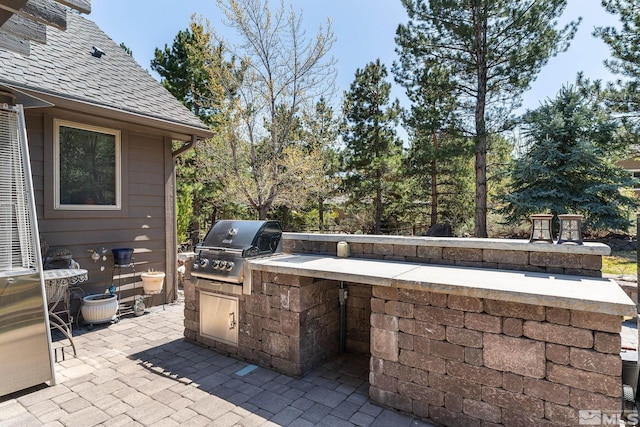 4300 Wild Eagle Ter, Reno, NV 89511 - view of patio with grilling area and area for grilling