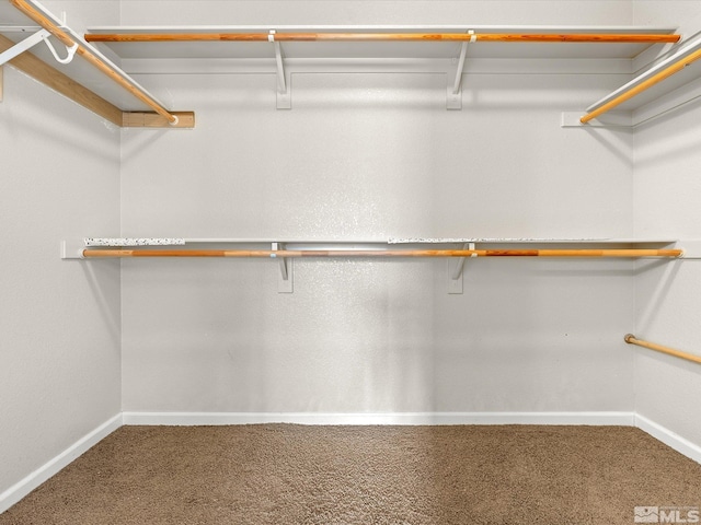 7730 Opal Blf, Reno, NV 89506 - spacious closet featuring carpet flooring