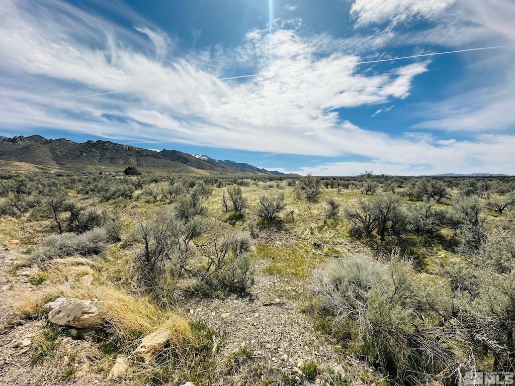 17200 Kirk Rd, Lovelock, NV 89419