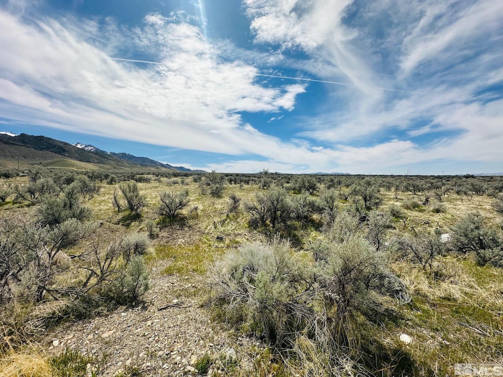 17200 Kirk Rd, Lovelock, NV 89419