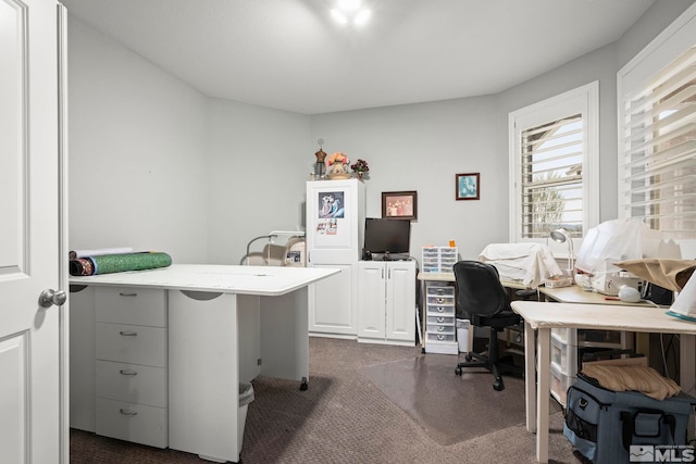1180 Ferretto Pkwy, Dayton, NV 89403 - office area featuring dark carpet