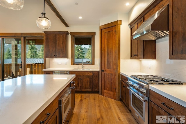 534 Headwaters Way, Carson City, NV 89705 - kitchen with stainless steel appliances, wall chimney range hood, a sink, light wood-style floors, and tasteful backsplash