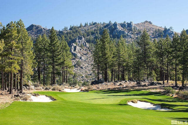 534 Headwaters Way, Carson City, NV 89705 - surrounding community featuring a mountain view, a yard, and golf course view