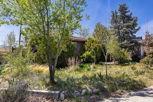3301 Everett Dr, Reno, NV 89503 - view of yard