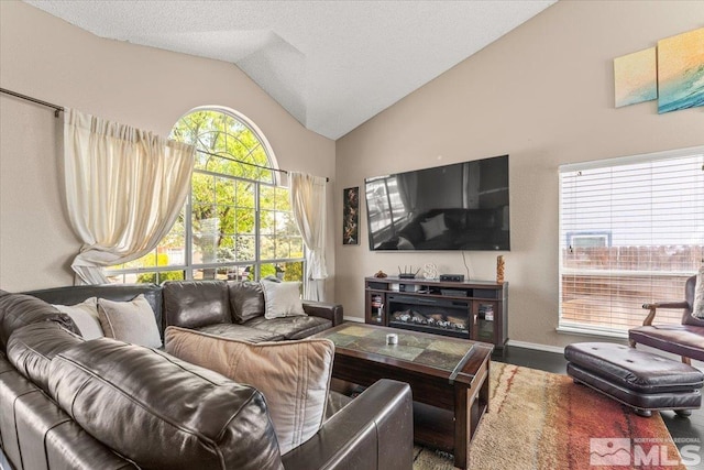4776 Scenic Hill Cir, Reno, NV 89523 - living area featuring lofted ceiling, baseboards, wood finished floors, and a textured ceiling