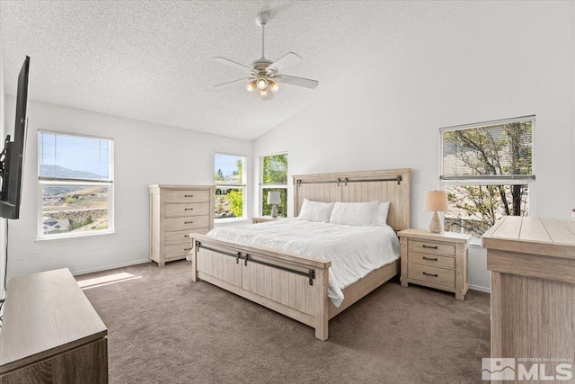 4776 Scenic Hill Cir, Reno, NV 89523 - carpeted bedroom featuring a textured ceiling, vaulted ceiling, and ceiling fan
