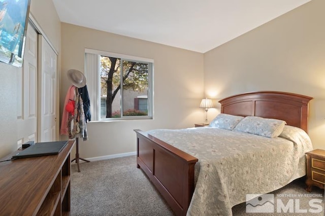 900 S Meadows Pkwy Unit 614, Reno, NV 89521 - bedroom featuring carpet floors, baseboards, and a closet