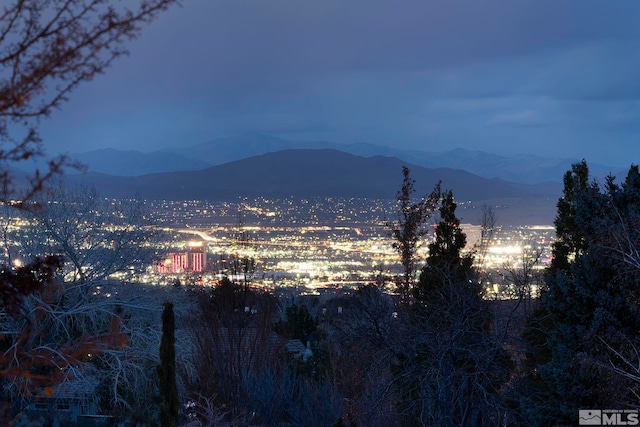 14245 Prairie Flower Ct, Reno, NV 89511 - view of mountain backdrop