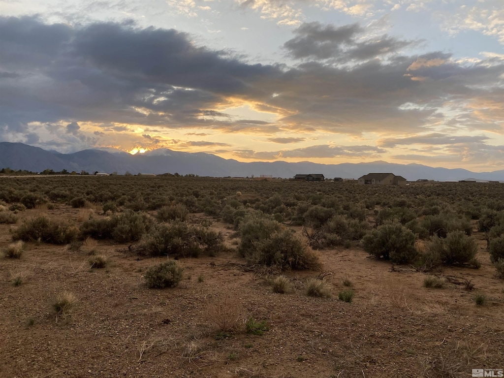360 Ludwig, Smith, NV 89430 - photo 2
