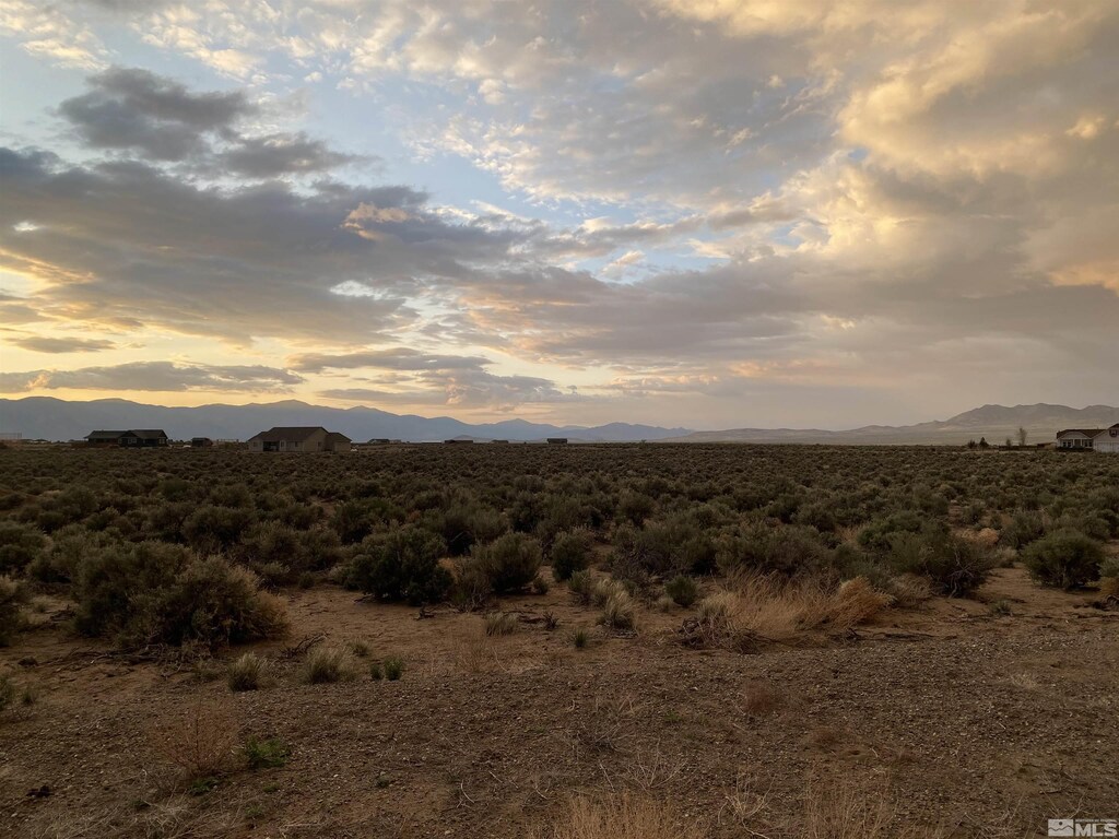 360 Ludwig, Smith, NV 89430 - photo 3