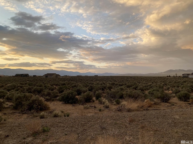 360 Ludwig, Smith, NV 89430 - photo 3