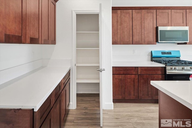887 Agate, Fernley, NV 89408 - kitchen with appliances with stainless steel finishes, light wood finished floors, and light countertops