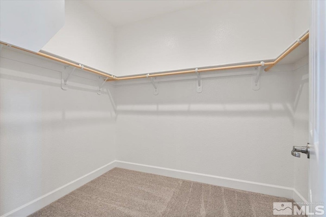 887 Agate, Fernley, NV 89408 - walk in closet featuring carpet