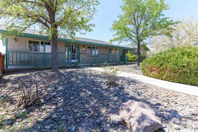 5925 Arvilla Ln, Fallon, NV 89406 - ranch-style house featuring covered porch and stucco siding