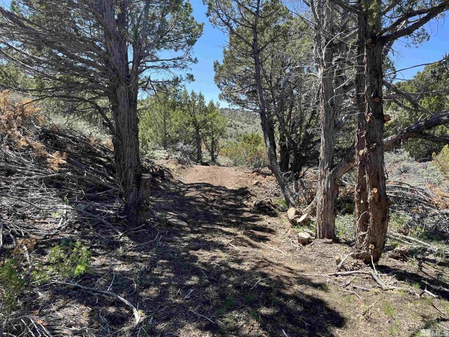 8531 Quaking Aspen Rd Unit 1, 2, 3, 4, 5, 6, 7, Reno, NV 89510