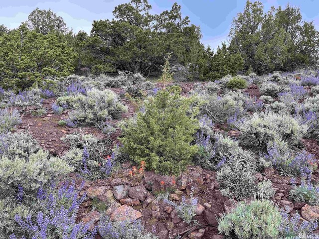 8531 Quaking Aspen Rd Unit 1, 2, 3, 4, 5, 6, 7, Reno, NV 89510