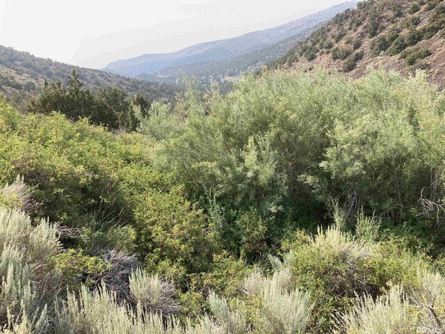 8531 Quaking Aspen Rd Unit 1, 2, 3, 4, 5, 6, 7, Reno, NV 89510
