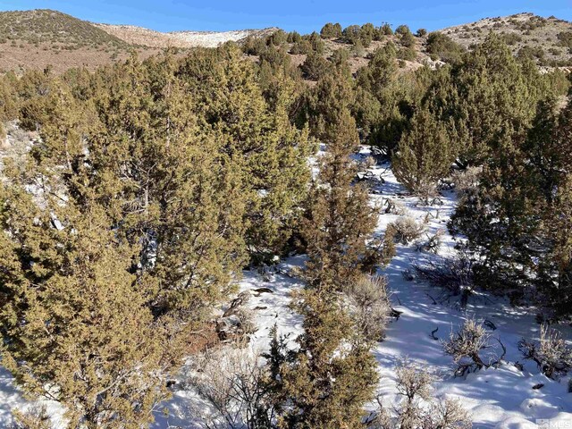 8531 Quaking Aspen Rd Unit 1, 2, 3, 4, 5, 6, 7, Reno, NV 89510