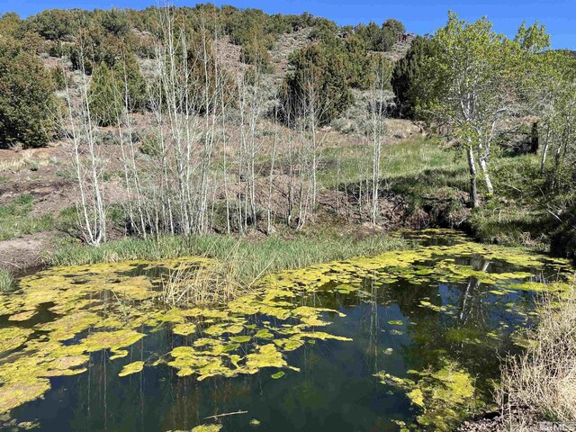 8531 Quaking Aspen Rd Unit 1, 2, 3, 4, 5, 6, 7, Reno, NV 89510