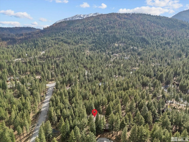 805 Yellow Pine Rd, Reno, NV 89511 - bird's eye view of a forest and a mountainous background