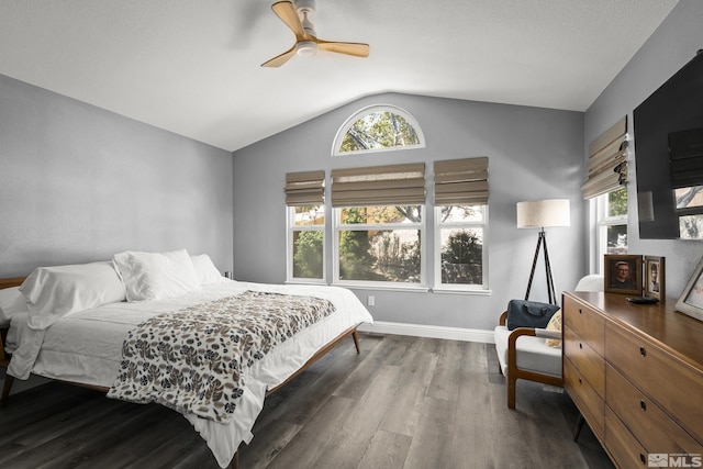 2445 Libero, Sparks, NV 89436 - bedroom with lofted ceiling, wood finished floors, multiple windows, a ceiling fan, and baseboards