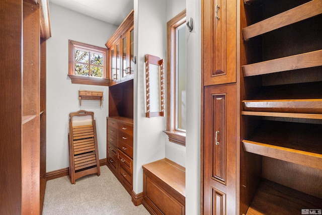 12360 High Vista Dr, Reno, NV 89511 - spacious closet with light carpet