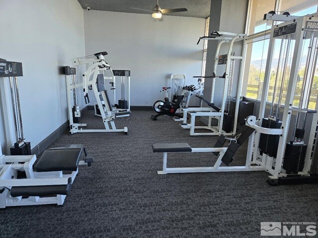 workout area featuring a high ceiling, carpet, a ceiling fan, and baseboards