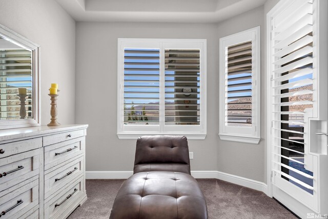 11641 Diamond Stream Dr, Sparks, NV 89441 - sitting room with carpet, plenty of natural light, and baseboards