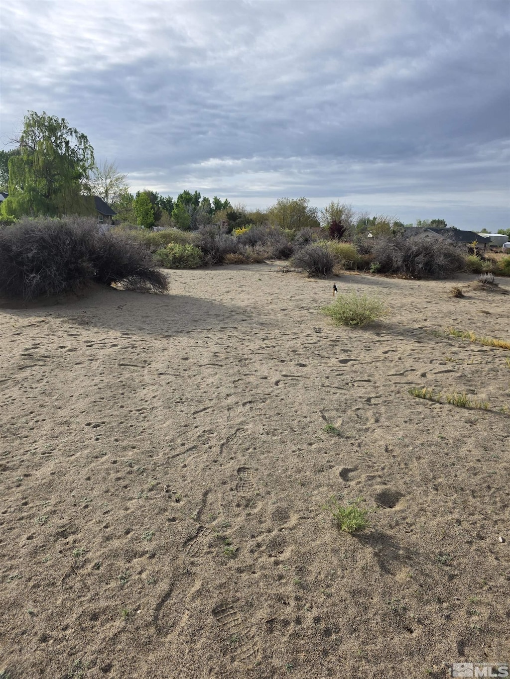 1430 Golden Park Way, Fallon, NV 89406