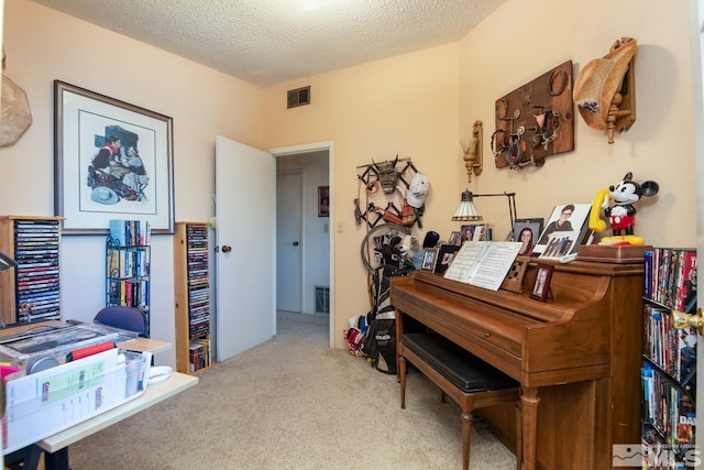 23 Upper Colony, Wellington, NV 89444 - sitting room with carpet flooring and a textured ceiling