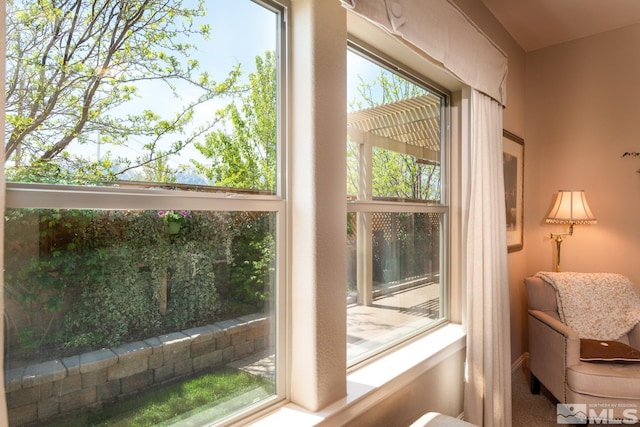 1058 Aspen Brook Ln, Gardnerville, NV 89460 - view of entryway