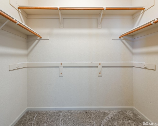 326 Torrey Pines Dr, Dayton, NV 89403 - walk in closet with carpet