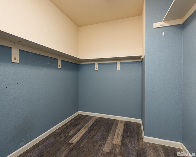 326 Torrey Pines Dr, Dayton, NV 89403 - walk in closet featuring dark wood finished floors