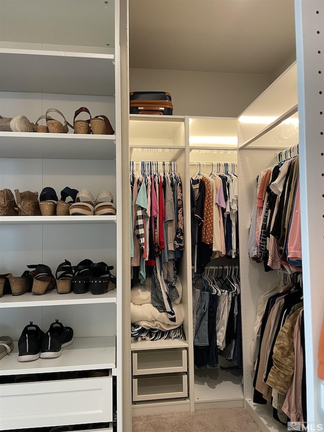 684 Rose Ln, Fernley, NV 89408 - view of spacious closet