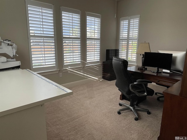 684 Rose Ln, Fernley, NV 89408 - office space with carpet floors and baseboards