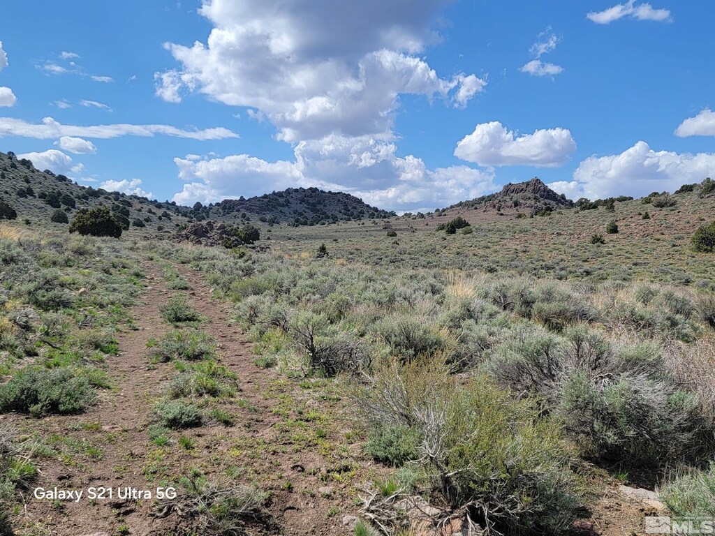 22100 Flowery Rd, Reno, NV 89521 - photo 1