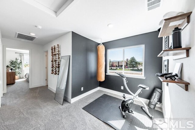 1623 Prancer St Lot # 51, Reno, NV 89523 - exercise area featuring carpet and baseboards