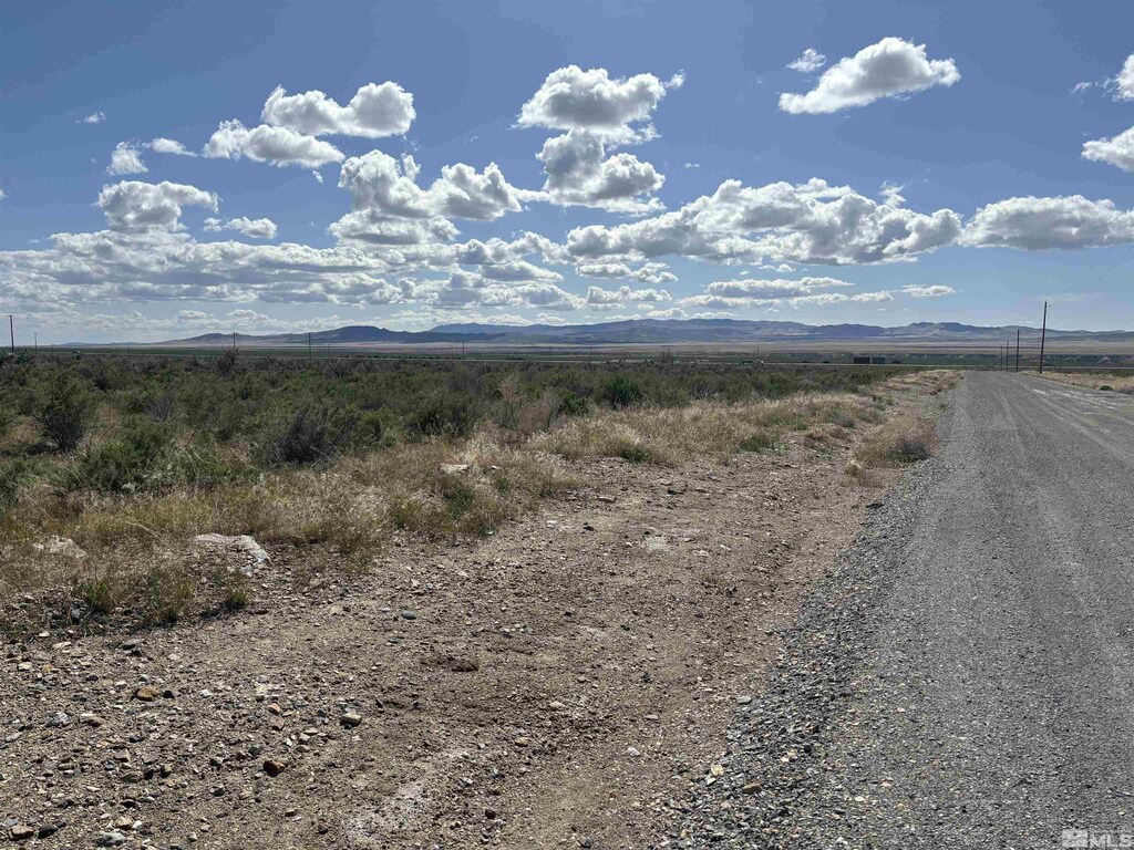 22560 Dorsey Ln, Lovelock, NV 89419 - photo 1