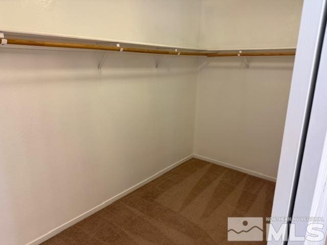 6700 Sandia Dr, Reno, NV 89523 - spacious closet with carpet floors