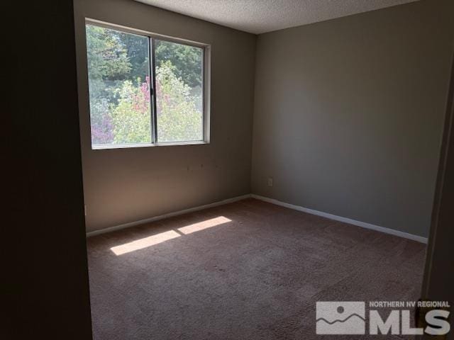 6700 Sandia Dr, Reno, NV 89523 - carpeted empty room featuring a textured ceiling and baseboards