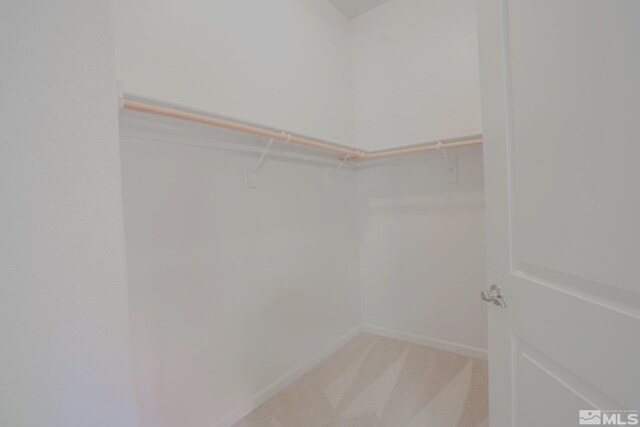 9900 Wilbur May Unit 3403, Reno, NV 89521 - spacious closet with light colored carpet