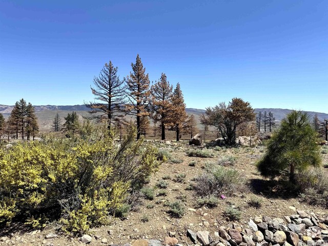 600 Sand Cherry Ct, Reno, NV 89511