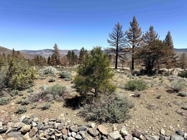 600 Sand Cherry Ct, Reno, NV 89511