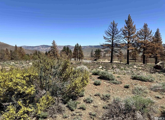 600 Sand Cherry Ct, Reno, NV 89511