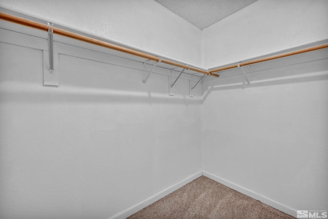 3865 E Leonesio Dr Unit F1, Reno, NV 89512 - spacious closet featuring carpet