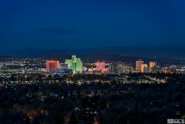 2040 Scharr Cir, Reno, NV 89509 - city view
