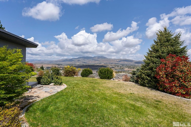 2040 Scharr Cir, Reno, NV 89509 - view of green lawn with a mountain view