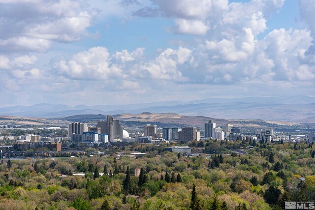 2040 Scharr Cir, Reno, NV 89509 - city view with a mountain backdrop
